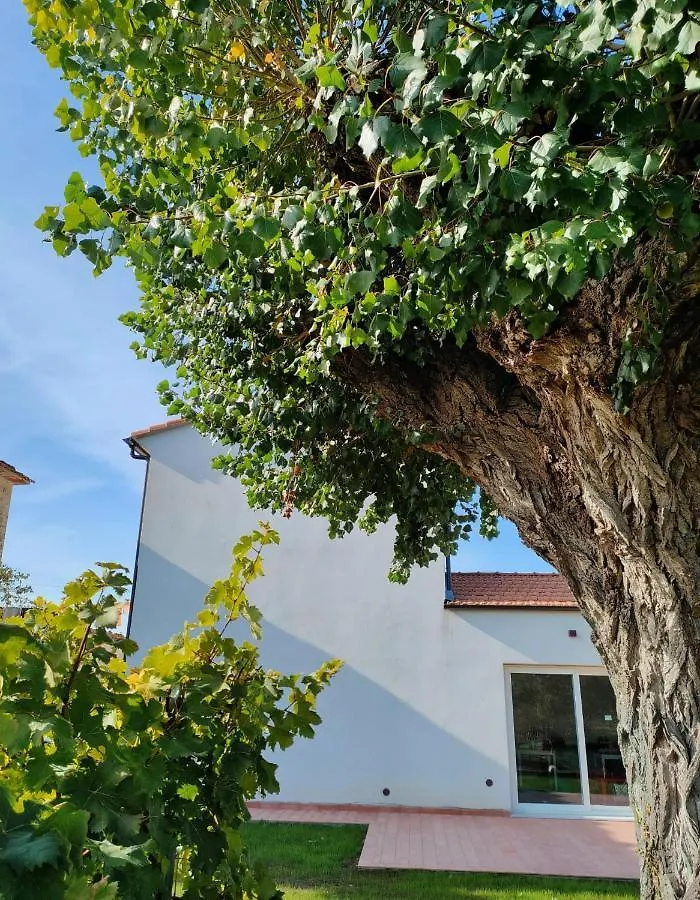 La Casa Vecchia Bed&Breakfast Caniparola di Fosdinovo 0*,